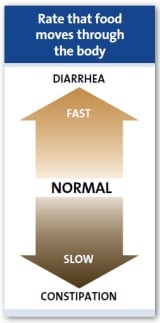 Gıdaların vücutta hareket hızı Gıdaların vücutta hareket hızı