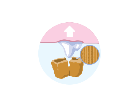 evcil hayvan maması diş yapılarını temizliyor illüstrasyonu