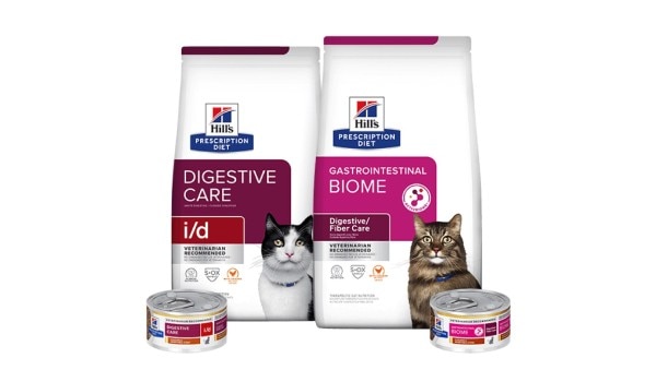 Prescription Diet Digestive care kedi maması