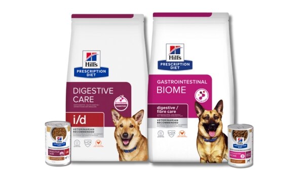 Prescription Diet Sindirim bakım köpek maması