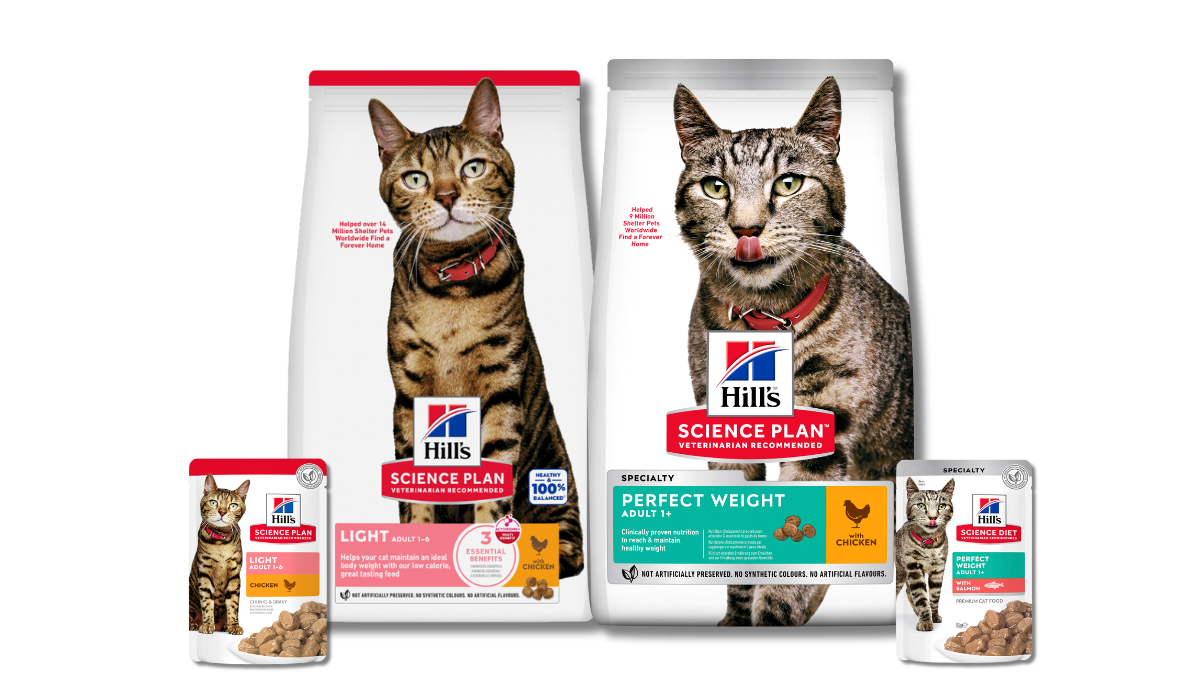 Science light ve perfect weight kedi maması