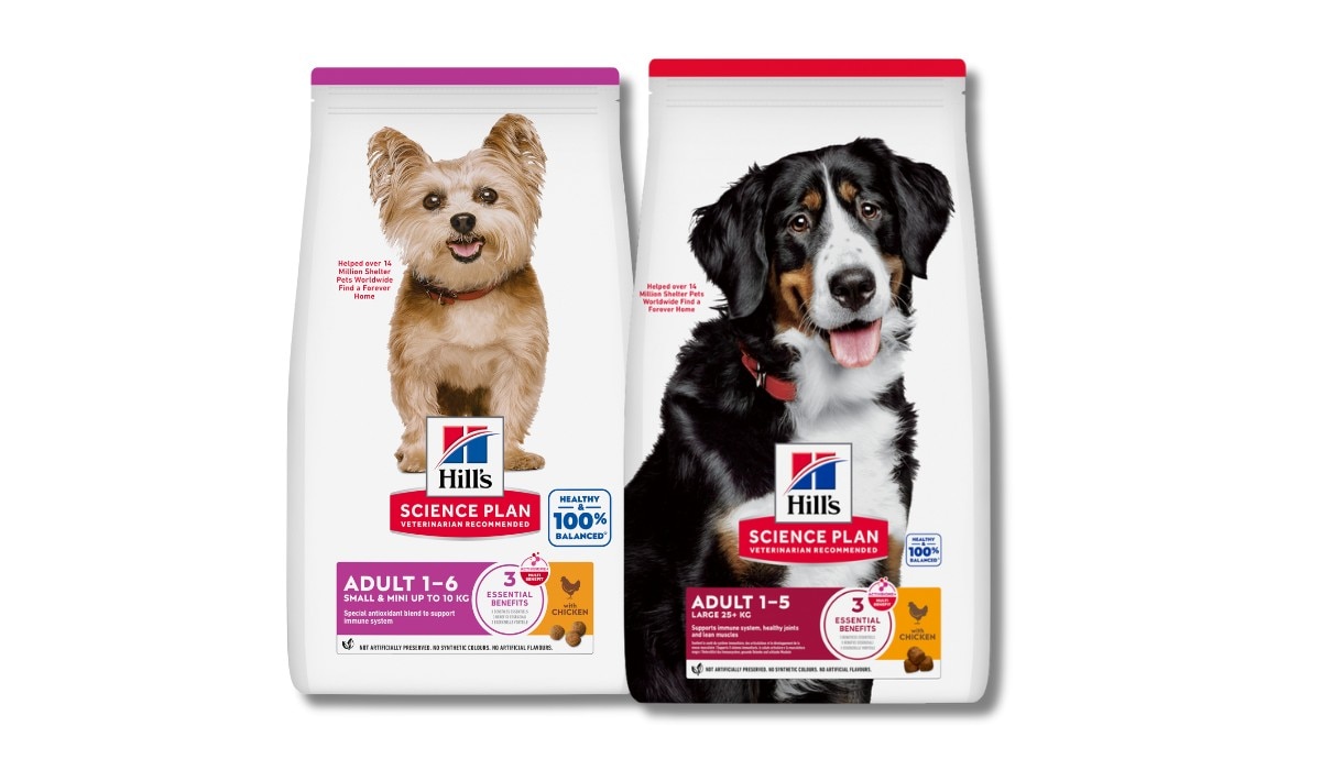 Küçük ve büyük ırklar için Science Diet