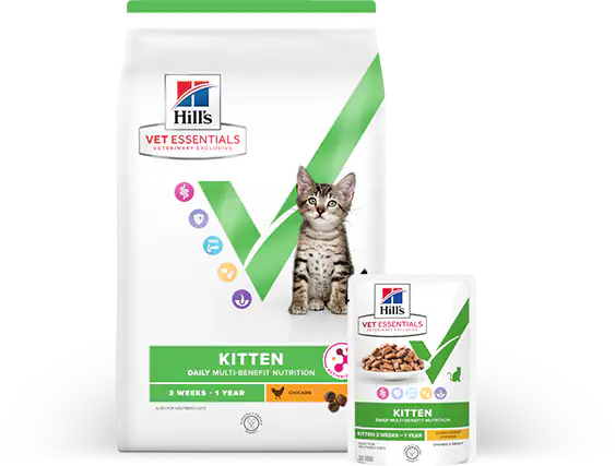 Bir paket Hill's Vet Essentials Multi-Benefit kuru ve ıslak yavru kedi maması