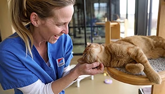 image of pet nutritian center worker petting cat