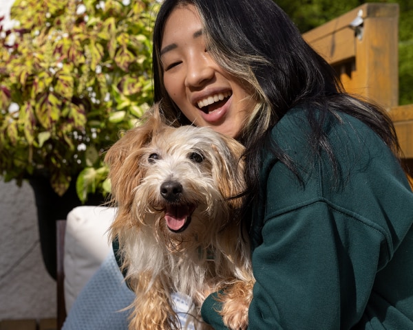 Evcil hayvan ebeveyni olan küçük bir köpek