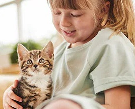 Mutlu Bir Kediyle Kız