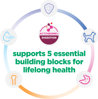 Bilgi görseli, yavru köpek sağlığı için 5 temel yapı taşını açıklıyor