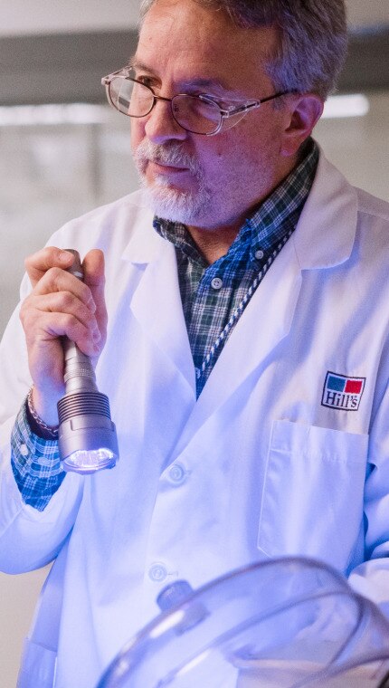 Bir Hill's bilim insanı çocuklara laboratuvar çalışmalarını göstermek için bir fener ışığı tutuyor