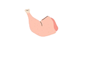 Tavuk