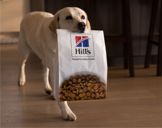 A dog carrying Hill's Pet dog food by its mouth