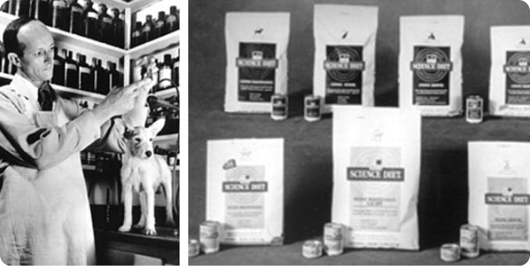 Dr. Mark Morris Jr. bir evcil hayvanla çalışıyor