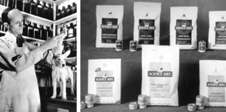 Dr. Mark Morris Jr. bir evcil hayvanla çalışıyor