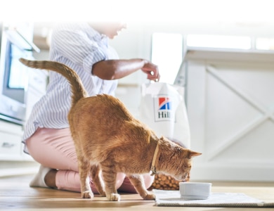 Hill's mamasını yiyen kedi