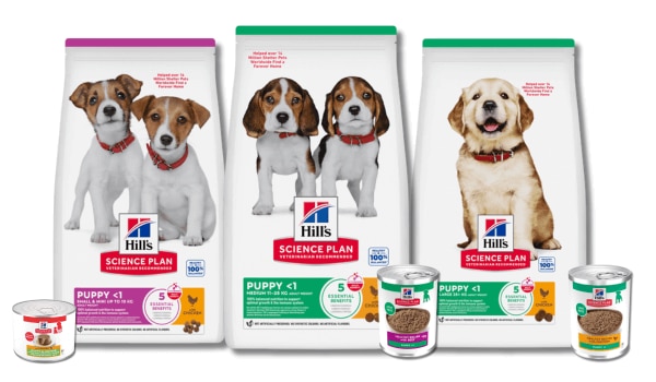 Üç paket Hill's Science Plan kuru yavru köpek maması
