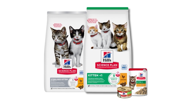 Üç paket Hill's Science Diet kuru ve ıslak yavru kedi maması